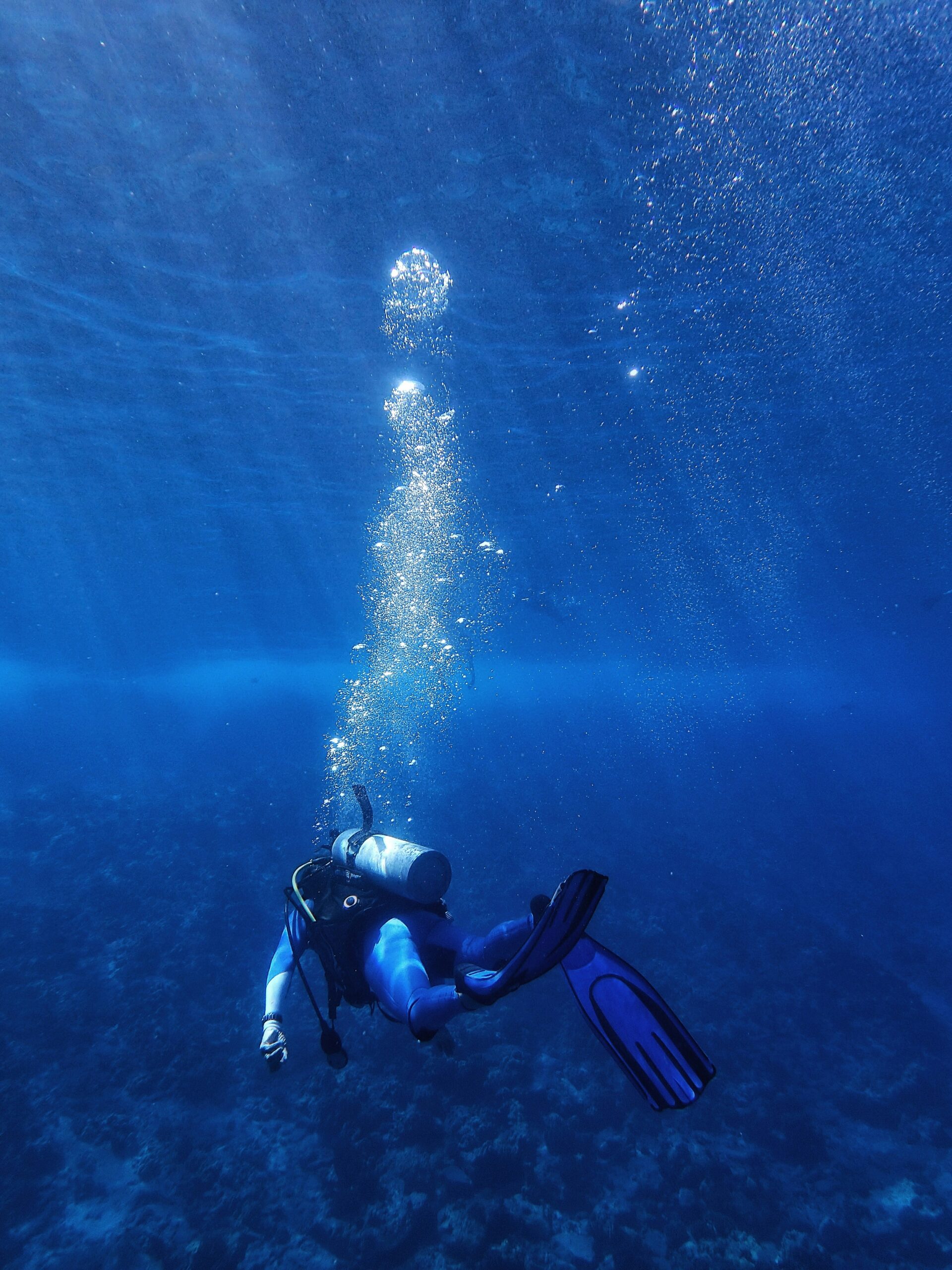 Leadership Underwater Lessons from SCUBA Diving That Transformed My Approach