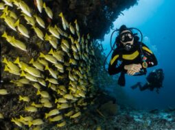 technical SCUBA