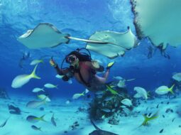 SCUBA Diving