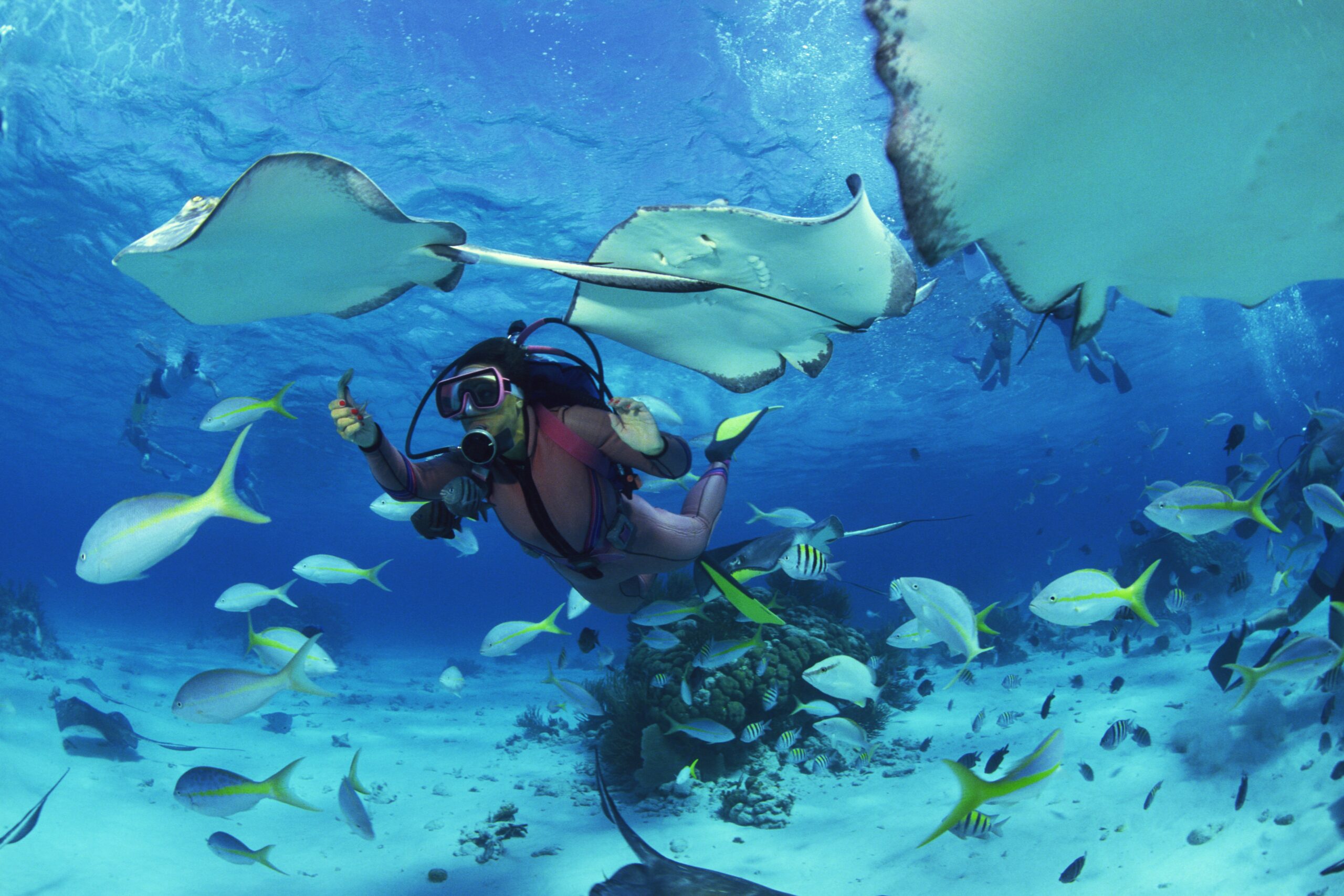 SCUBA Diving